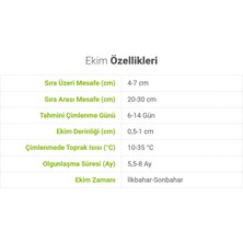 Bk Commerce Sunagri Mor Soğan Tohumu - Uzun Gün Çeşidi Yüksek Rakımlara Uyumlu