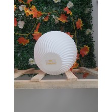 Xoa Collection Vazo Modern 3D