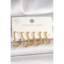 Clariss 316L Çelik Gold Renk Kalp Model Kadın Küpe Seti