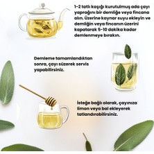 Ochay Adaçayı 100 gr