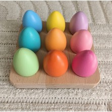 Montessori - Waldorf Eşleştirme Tablalı Yumurtalar T1-4 (9 Renk)