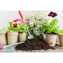 Tunç Botanik Çiçek Toprağı 3 Lt - 7'li Özel Karışım (Akıllı Gübre Katkılı)