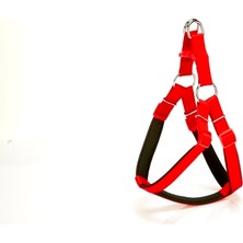 Köpek Bel Tasması 85CM X-Large Kırmızı