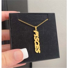 925 Ayar Gümüş Balık Burcu Kolye