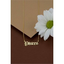 925 Ayar Gümüş Balık Burcu Kolye