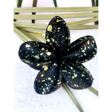 Monalisa Home Lüks Figürlü Renkli Küçük Lotus Toka