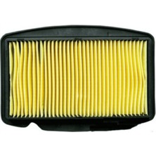 Daico Hava Filtresi CBF150