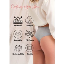 Odise Likralı Pamuk Yüksek Bel Tanga 5'li Paket