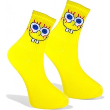 Hanse Socks 5'li Çizgi Karakter Spor Çorap Seti