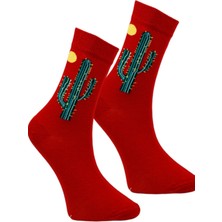 Hanse Socks 5'li Çöl Kaktüsü Desenli Çorap Seti