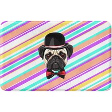 Sevimli Tasarımlı Mikrofiber Banyo Paspası, Kaymaz Taban, Makinede Yıkanabilir (246_BPSM, 40 x 60)