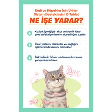Biofeline Urinary+D Tablet ( Kedi ve Köpekler Için Üriner Sistem Desteği)