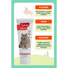 Biofeline Multi Paste 100 Gr. ( Kediler Için Multivitamin Macunu )