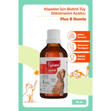 Biofeline Plus+B For Dogs 50 Ml. ( Köpekler Için Tüy Sağlığı Damlası )