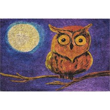 Tasarımlı Dekoratif Kapı Önü Paspas, Dış Mekan/ev Içi/banyo/mutfak/yatak Odası/giriş Paspasları (Gece Baykuş, 45 x 70)