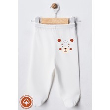 Unisex Bebek Penye Organik Pamuklu Figür Baskılı 0-6 Ay Patikli Bebek Tek Alt 6'lı Set