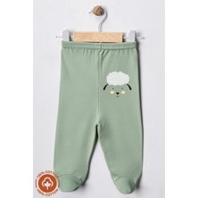 Unisex Bebek Penye Organik Pamuklu Figür Baskılı 0-6 Ay Patikli Bebek Tek Alt 6'lı Set