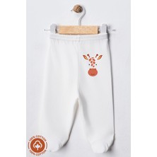 Unisex Bebek Penye Organik Pamuklu Figür Baskılı 0-6 Ay Patikli Bebek Tek Alt 6'lı Set