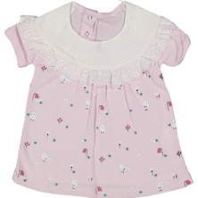 Kız 6/18 Ay Fisto Yakalı Kuş Baskılı Elbise