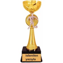 Best Hediye Futbol Figürlü Ödül Kupası-istenilen yazıyla