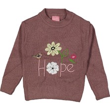 Kız 1/4 Yaş Parlak Çiçek Nakışlı Triko Kazak