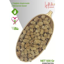 Yeni Mahsül Kurutulmuş Dut Kurusu 500 gr