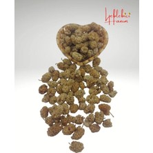 Yeni Mahsül Kurutulmuş Dut Kurusu 500 gr