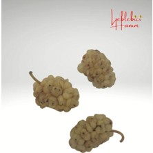 Yeni Mahsül Kurutulmuş Dut Kurusu 500 gr