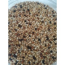 Muhabbet Kuşu Yemi (1kg) Ak,sarı, Siyah, Kızıl Darı Karışım. Çift Elenmiş Tozsuz, Temiz, Yeni Mahsul(1kg)
