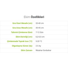 Bykurt Sunagri Semiz Otu Tohumu - Iri Yapraklı Açık Yeşil Yemeklik ve Taze Tüketim Için Ideal