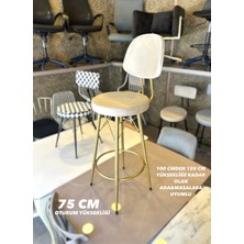 Yeni Vena Bar Sandalyesi Mat(Eskitme) Gold Bej Babyface Kumaş.75  cm  Oturum Yüksekliği