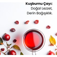 Ochay Kuşburnu Çayı 100 gr