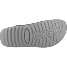 Ecco Cozmo M Steel