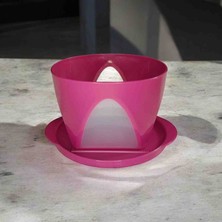 Tupperware Tutku Saklama Kabı