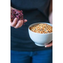 Good Food Emziren Annelere Özel Malt ve 7 Özel Bitki İçeren granola, 3'lu Deneme Paketi Yaban Mersinli,çikolata & Portakallı, Hindistan Cevizi & Muzlu,  3x140 gr