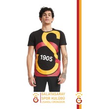 Galatasaray Orijinal Lisanslı Büyük Logolu T-Shirt Gs Aslan Baskılı Hediyelik Ahşap Kutulu