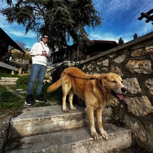 Pets Wuu Sedefli Beyaz Çok Renkli Köpek Eller Serbest Hands Free Koşu ve Yürüyüş Gezdirme Tasması