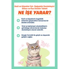 Biofeline Immune+C Tablet ( Kedi ve Köpekler Için  Desteği)