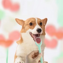 Lady Fify Kedi ve Köpek için Paslanmaz Çelikten Dil Temizleyici