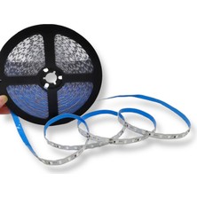 Cata Zigzag S Tipi LED Şerit Bant Ikinci Nesil (Sarı) Neon Uyumlu 10 Metre 12V 120 LED/m SMD 2835 IP20