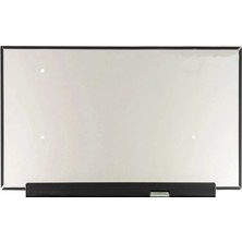 LineOn LQ156M1JW04 Notebook Ekran Paneli 240Hz