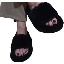 Yıldızın Dünyası Terlik