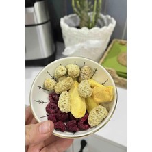 Mango Kurusu 20GR. Sağlıklı Atıştırmalık Meyve Cipsi Dondurularak Kurutulmuş - Freeze Dried Mango