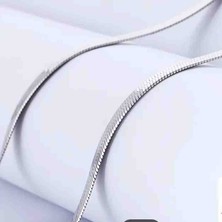 925 Ayar Balık Sırtı Gümüş Ezme Kolye 60CM, 5mm
