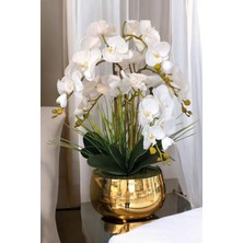 Yaren Style Büyük Gold Metal Orkide Saksısı Vazo / Çiçekler Görsel Amaçlı Kullanılmıştır.