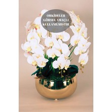 Yaren Style Büyük Gold Metal Orkide Saksısı Vazo / Çiçekler Görsel Amaçlı Kullanılmıştır.
