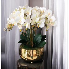 Yaren Style Büyük Gold Metal Orkide Saksısı Vazo / Çiçekler Görsel Amaçlı Kullanılmıştır.