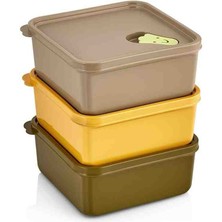 Smart Kitchen, 3 Lü Saklama Kabı, 550 Ml, Mikrodalga Uyumlu, Diffiriz Icin Ugun.