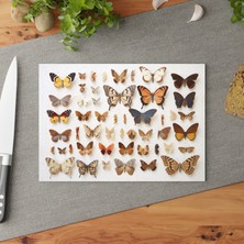 Painted Anarchy Şık Temperli Cam Kesme Tahtası Seti - Kaymaz Yüzey, Çizilmez, Kolay Temizlenebilir -