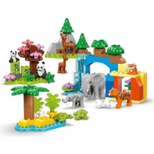 Nessiworld LEGO Duplo Kasabası 3’ü 1 Arada Vahşi Hayvan Aileleri 10446